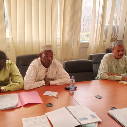 Projet METRO PARC à Saint-Martin