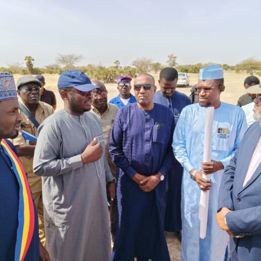 150 hectares identifiés à Linia pour un futur complexe résidentiel-14