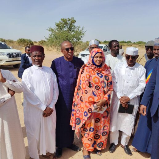 150 hectares identifiés à Linia pour un futur complexe résidentiel-2