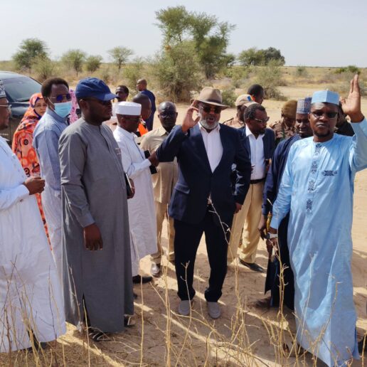 150 hectares identifiés à Linia pour un futur complexe résidentiel-3