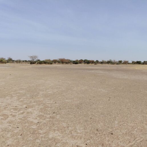 150 hectares identifiés à Linia pour un futur complexe résidentiel-30