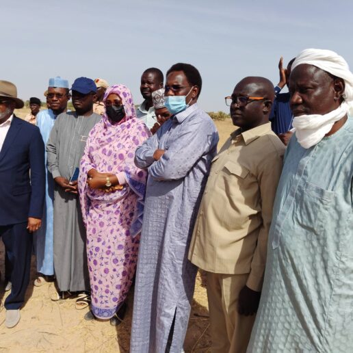 150 hectares identifiés à Linia pour un futur complexe résidentiel-31