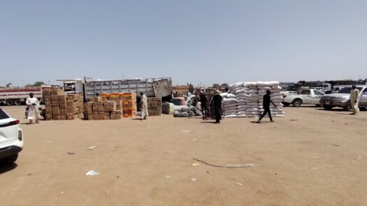 Une semaine pour libérer le site de l’Hippodrome-10